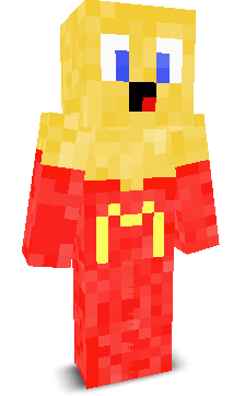 User's Minecraft appearance