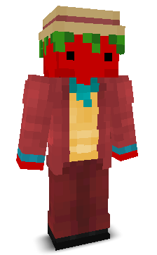 User's Minecraft appearance