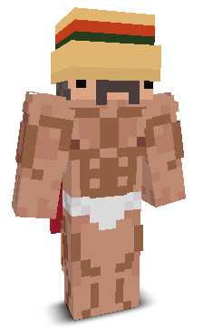 User's Minecraft appearance