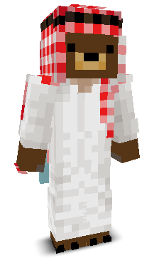 User's Minecraft appearance