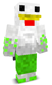 User's Minecraft appearance