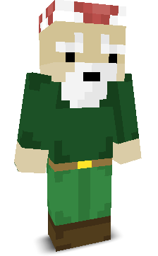 User's Minecraft appearance