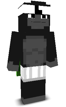 User's Minecraft appearance