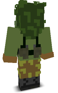 User's Minecraft appearance