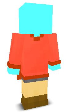 User's Minecraft appearance