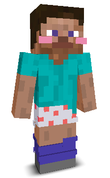 User's Minecraft appearance