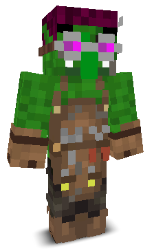 User's Minecraft appearance