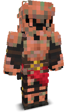 User's Minecraft appearance