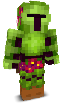 User's Minecraft appearance