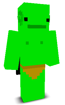 User's Minecraft appearance