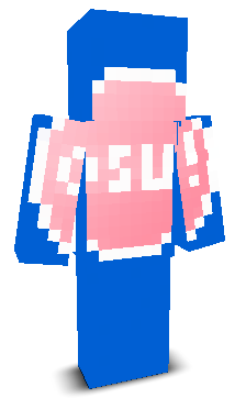 User's Minecraft appearance