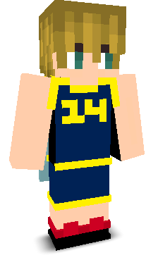 User's Minecraft appearance
