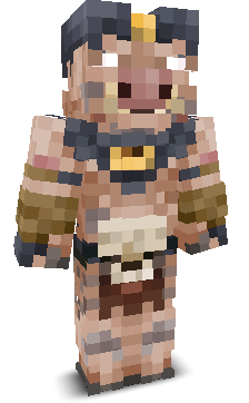 User's Minecraft appearance