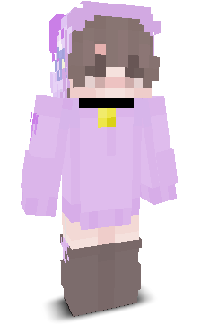 User's Minecraft appearance