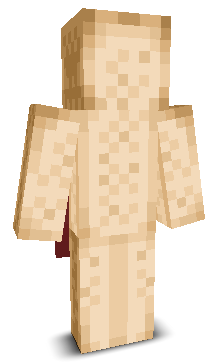 User's Minecraft appearance