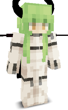 User's Minecraft appearance
