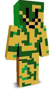 User's Minecraft appearance