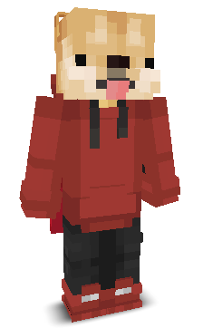 User's Minecraft appearance