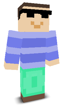 User's Minecraft appearance