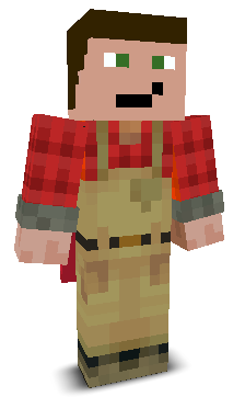 User's Minecraft appearance