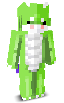 User's Minecraft appearance