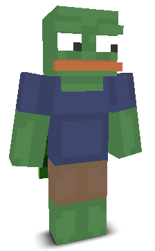 User's Minecraft appearance