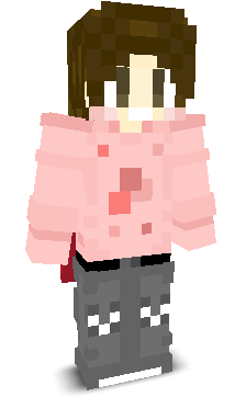 User's Minecraft appearance