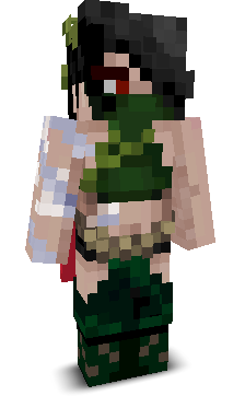 User's Minecraft appearance