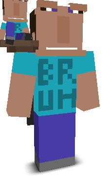 User's Minecraft appearance