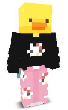 User's Minecraft appearance