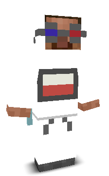 User's Minecraft appearance