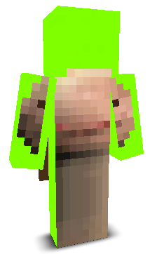 User's Minecraft appearance