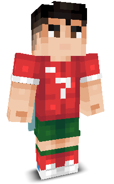 User's Minecraft appearance