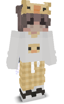 User's Minecraft appearance