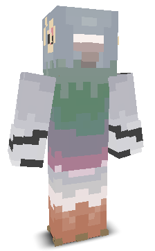 User's Minecraft appearance