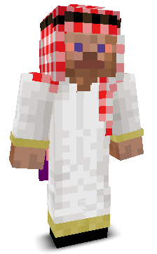 User's Minecraft appearance
