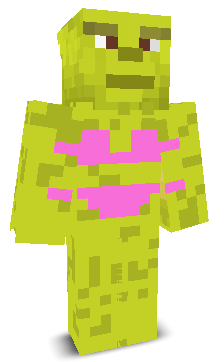 User's Minecraft appearance