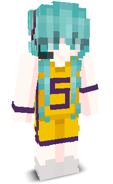 User's Minecraft appearance
