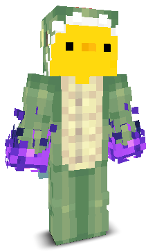 User's Minecraft appearance
