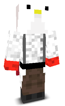 User's Minecraft appearance