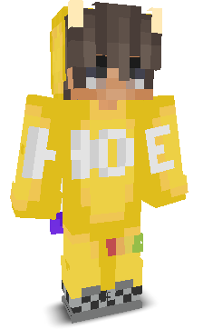 User's Minecraft appearance