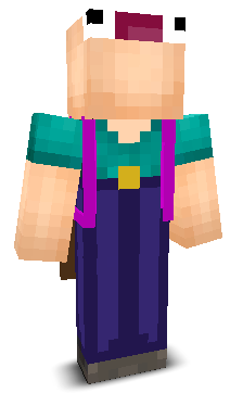 User's Minecraft appearance
