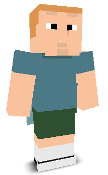 User's Minecraft appearance