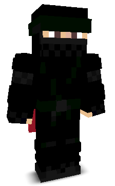 User's Minecraft appearance