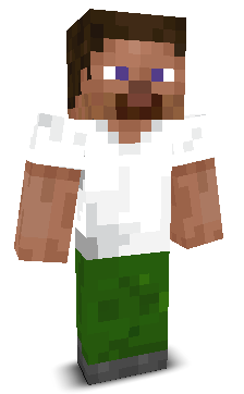 User's Minecraft appearance