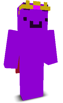 User's Minecraft appearance