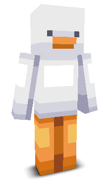 User's Minecraft appearance