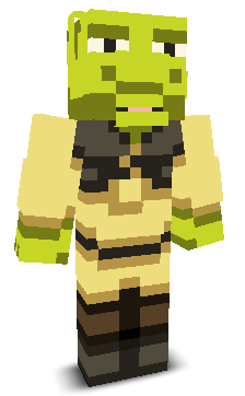 User's Minecraft appearance