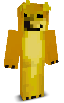 User's Minecraft appearance
