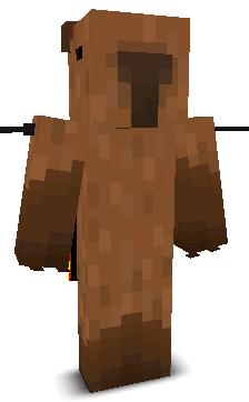 User's Minecraft appearance